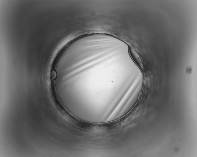 X0000102340248200808151734