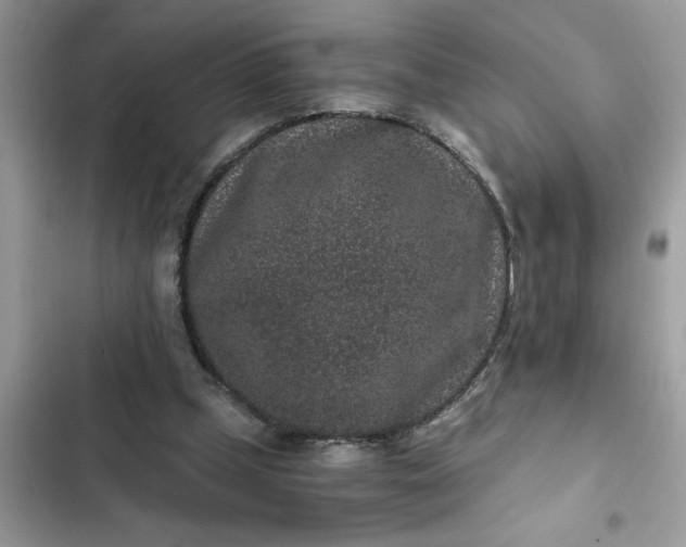 X0000102340249200808151734