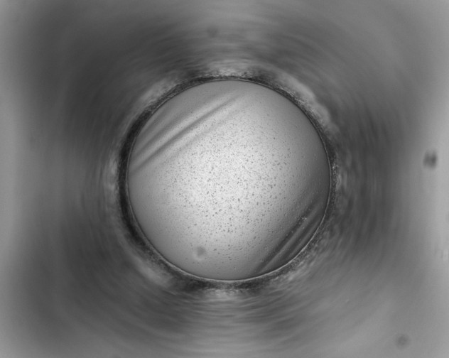 X0000102340250200808151734