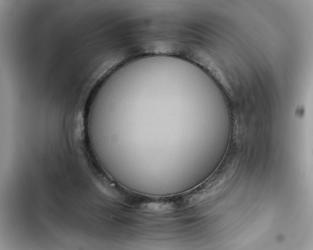 X0000102340251200808151734