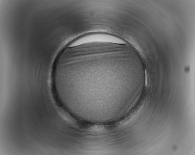 X0000102340252200808151734