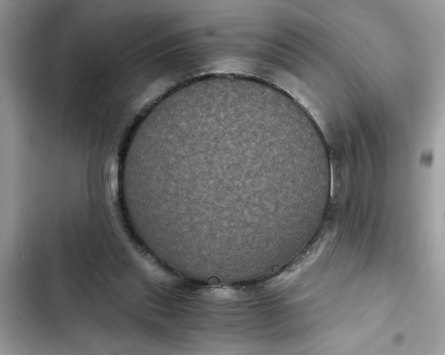 X0000102340253200808151735