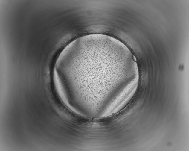 X0000102340254200808151735