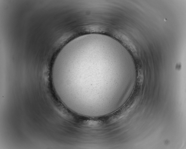 X0000102340255200808151735