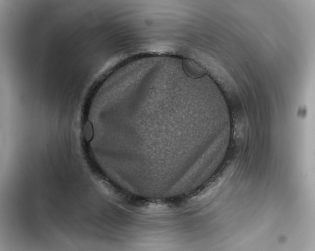 X0000102340256200808151735