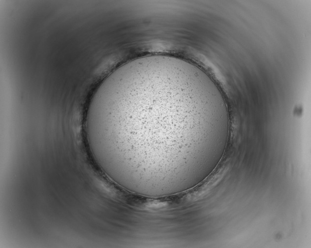 X0000102340257200808151735