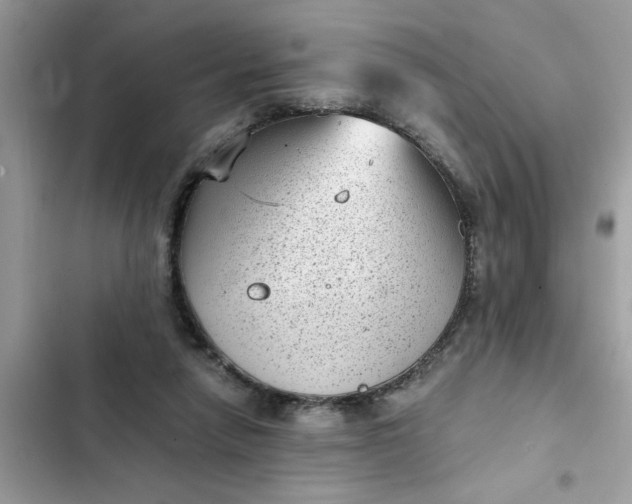 X0000102340258200808151735