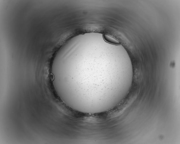 X0000102340259200808151735