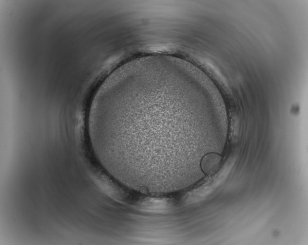 X0000102340260200808151735