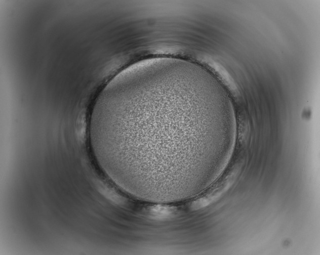 X0000102340261200808151735