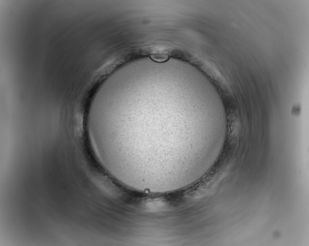 X0000102340262200808151735