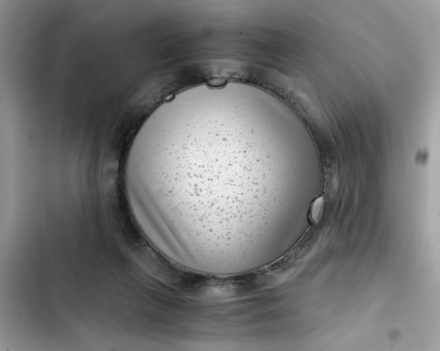 X0000102340263200808151735