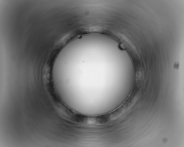 X0000102340264200808151735