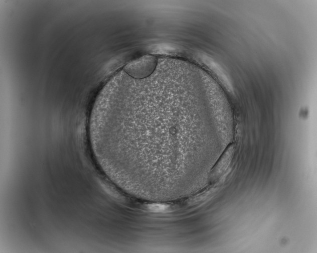 X0000102340265200808151735