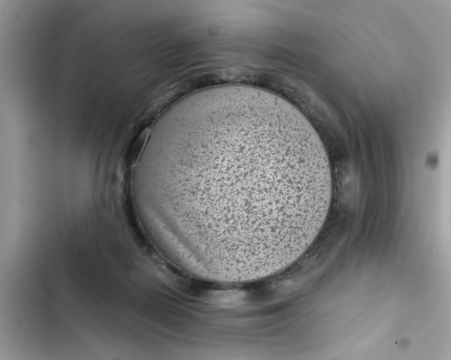 X0000102340266200808151735