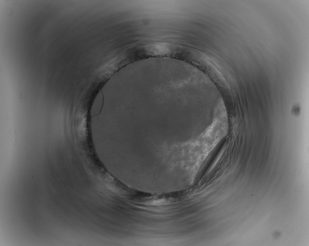 X0000102340267200808151735