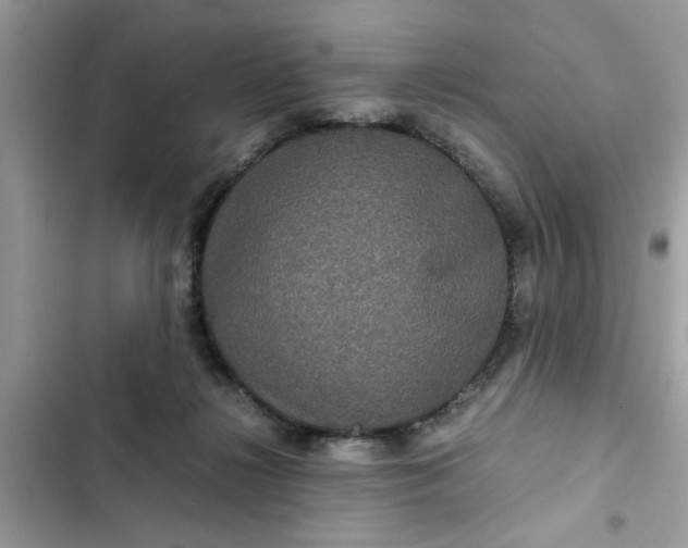 X0000102340268200808151735