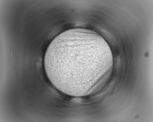 X0000102340269200808151735