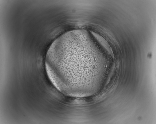 X0000102340270200808151735