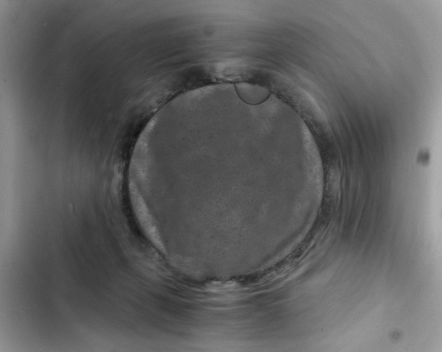 X0000102340271200808151735