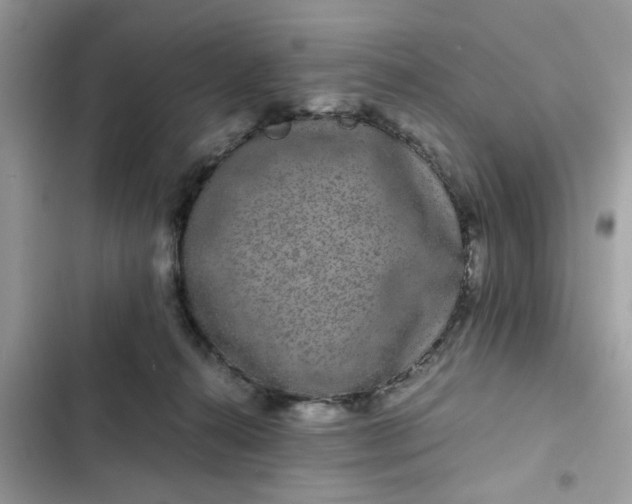 X0000102340272200808151735