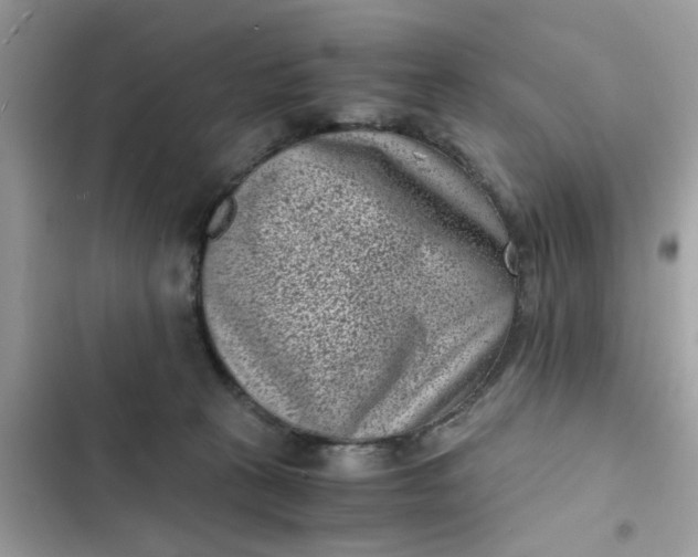 X0000102340273200808151735