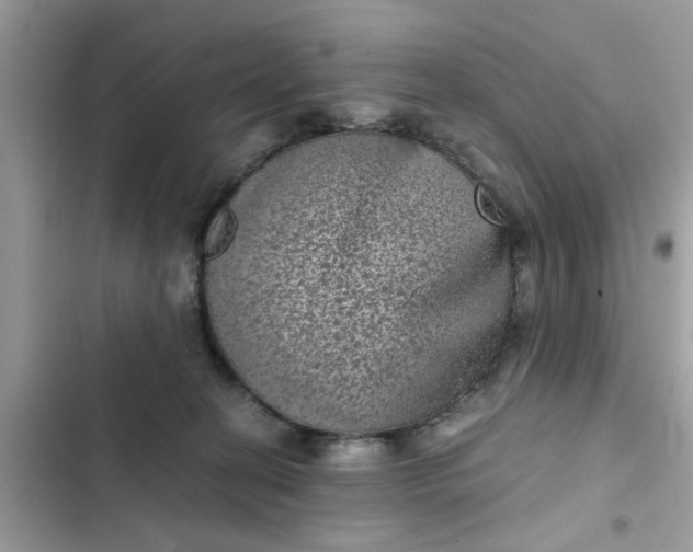 X0000102340274200808151735