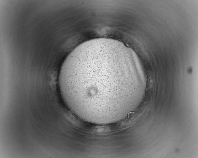 X0000102340275200808151735