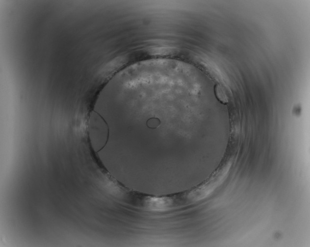 X0000102340277200808151735