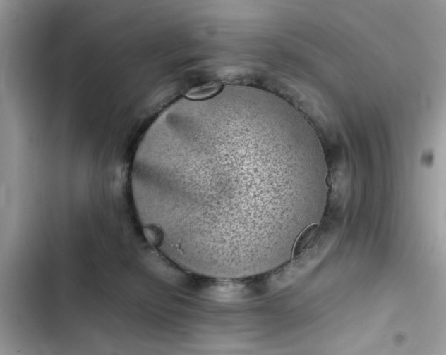 X0000102340278200808151735