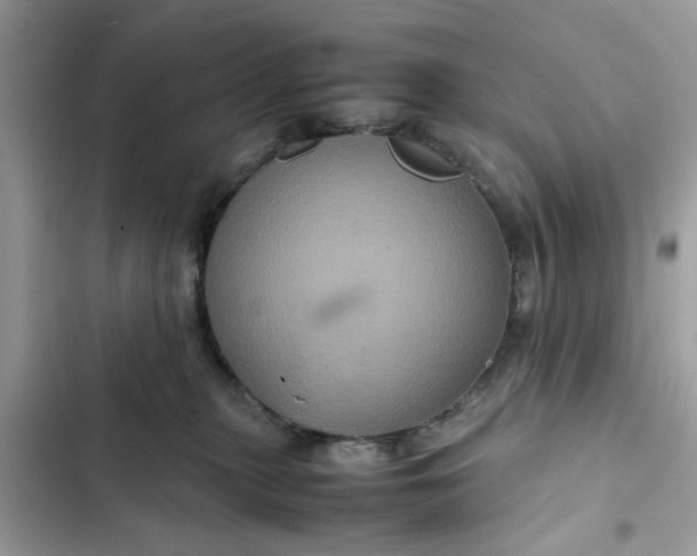 X0000102340279200808151735