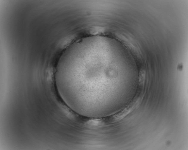 X0000102340280200808151735