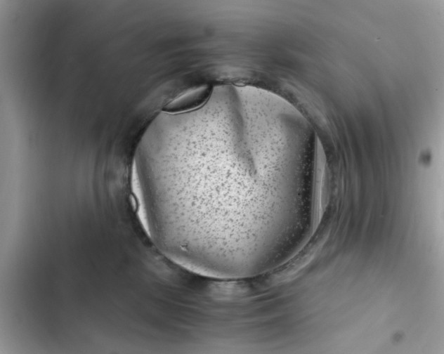 X0000102340281200808151735