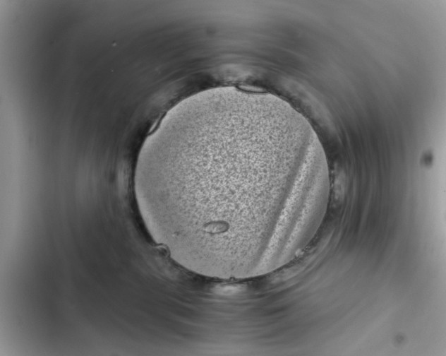 X0000102340283200808151735