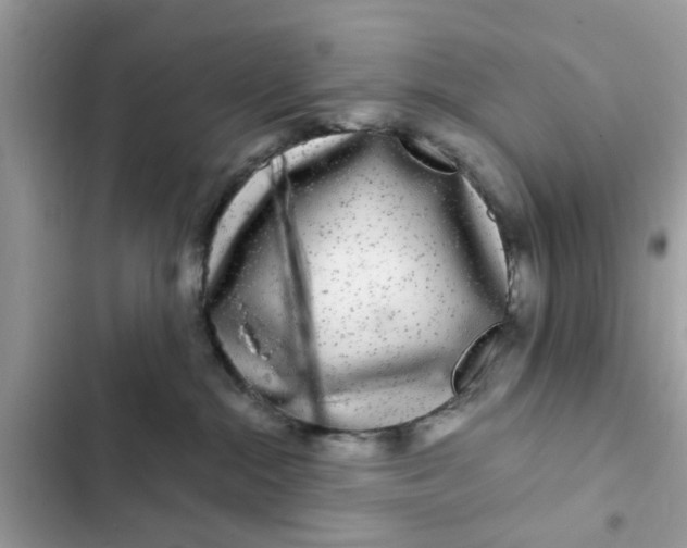 X0000102340284200808151735