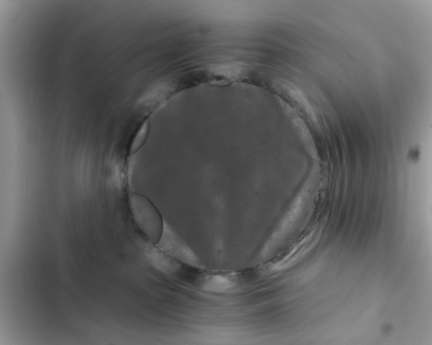 X0000102340285200808151735