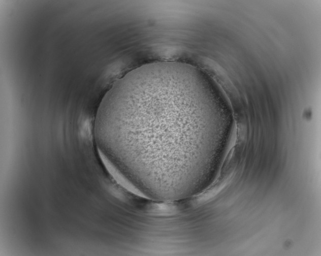 X0000102340286200808151735