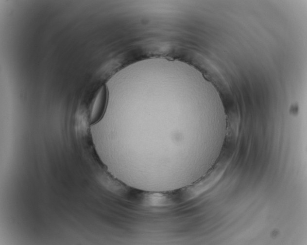 X0000102340287200808151735