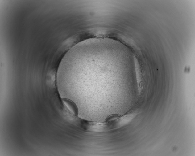 X0000102340288200808151735