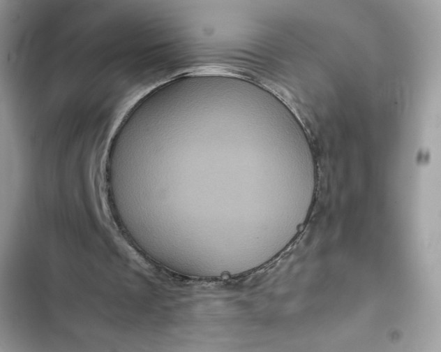 X0000102340289200808151734