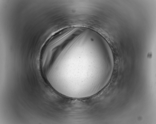 X0000102340290200808151734