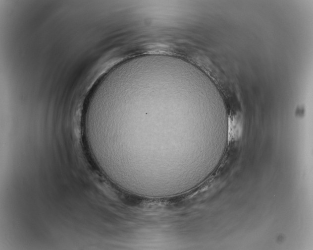 X0000102340291200808151734