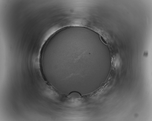 X0000102340292200808151734