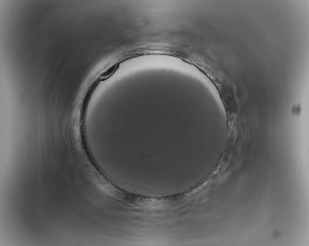 X0000102340293200808151734