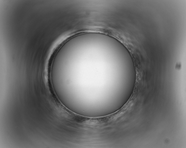 X0000102340294200808151734