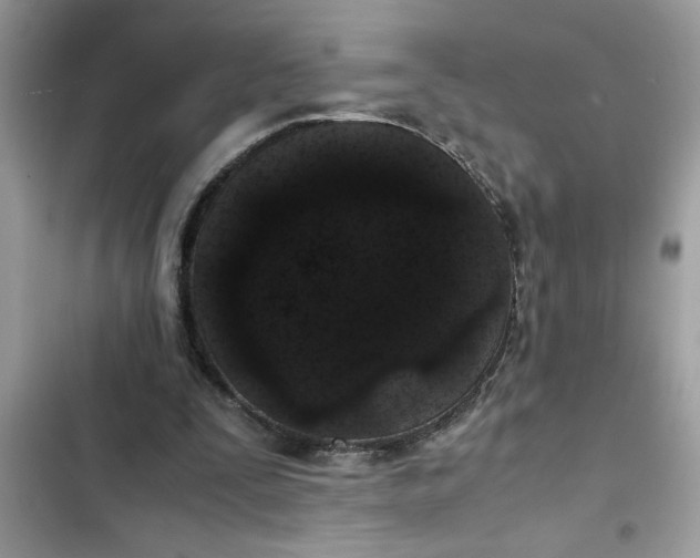 X0000102340295200808151734