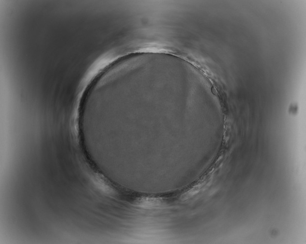 X0000102340296200808151734