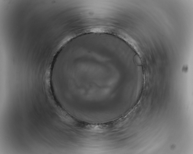 X0000102340297200808151734