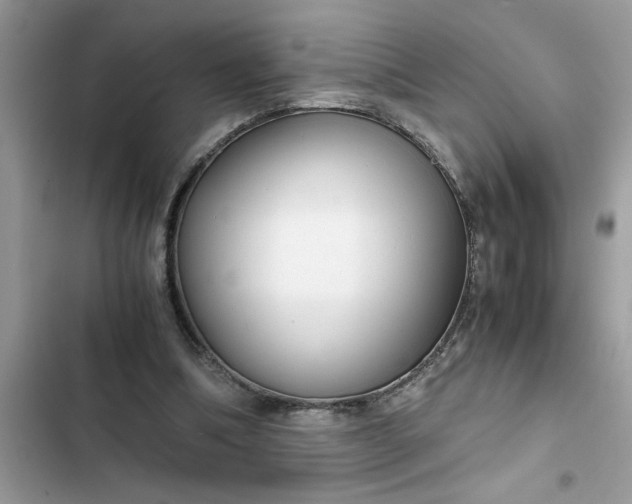 X0000102340298200808151734