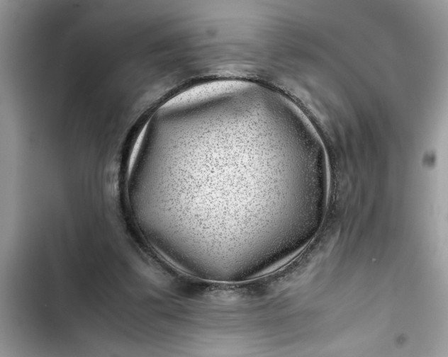 X0000102340299200808151734